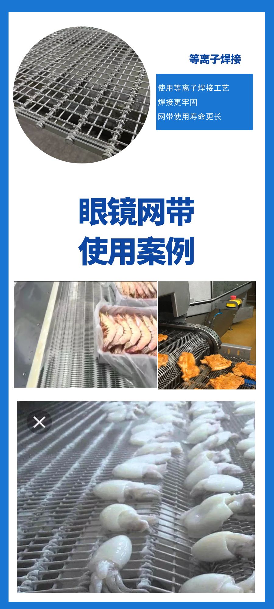 眼鏡網帶